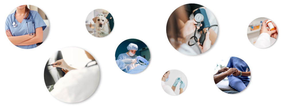 Career Coaching for Healthcare Professionals